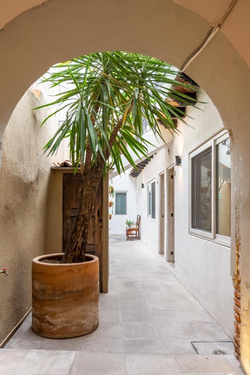 סאן מיגל דה אלנדה Casa Yuca Hotel Boutique מראה חיצוני תמונה
